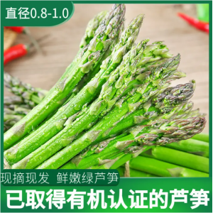 芦笋新鲜产地直销现挖5斤嫩青笋绿鲜芦笋嫩当季蔬菜包邮卢笋3现挖