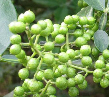 wechat_2026-03-18_141529_993