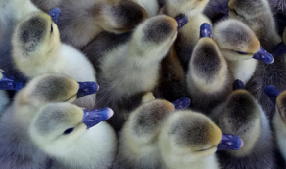 wechat_2026-03-23_161054_794