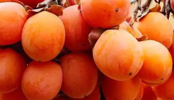 wechat_2026-03-26_143424_337