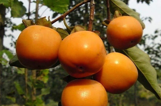 wechat_2026-03-26_143500_915