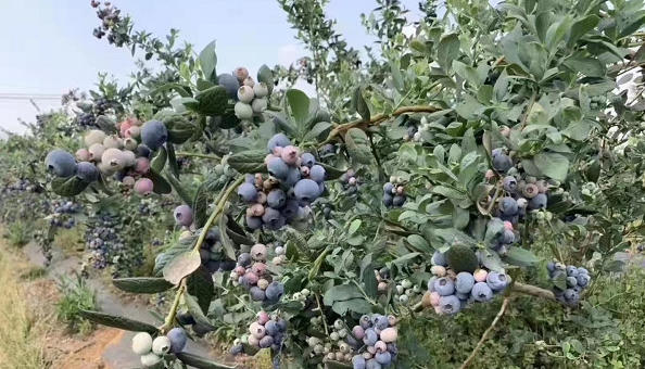 wechat_2026-03-26_143606_068