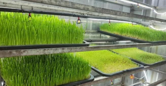 wechat_2026-04-09_160258_156