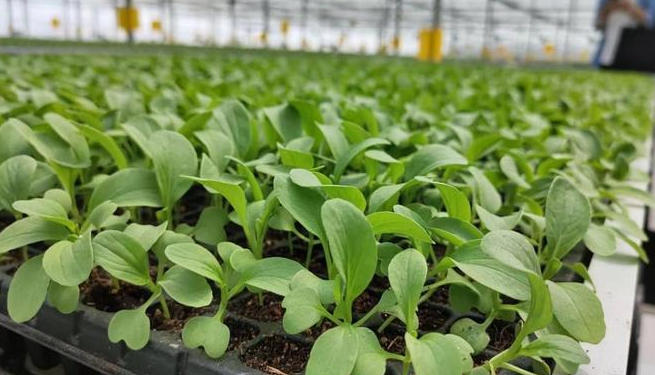 wechat_2026-04-09_160406_217