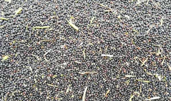 wechat_2026-04-09_160740_490