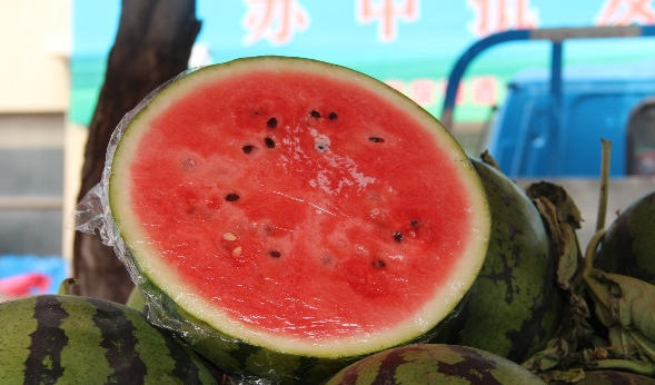 wechat_2026-04-09_160904_358