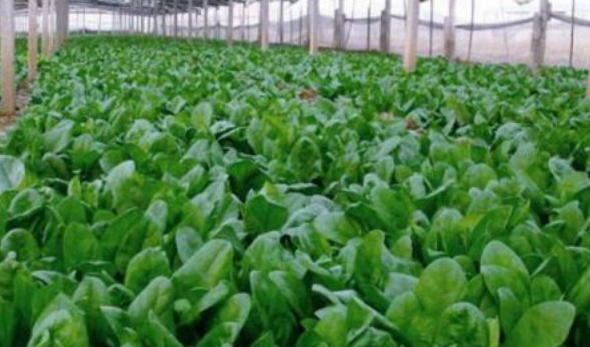 wechat_2026-04-09_161323_928