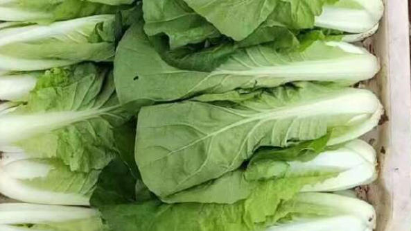 wechat_2026-04-09_161515_048