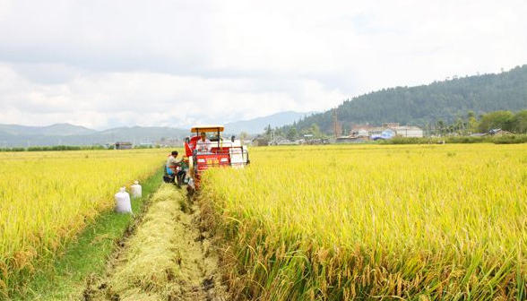 wechat_2026-04-09_161910_843