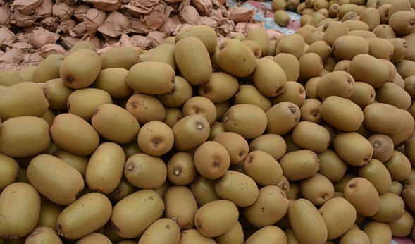 wechat_2026-04-09_162028_188