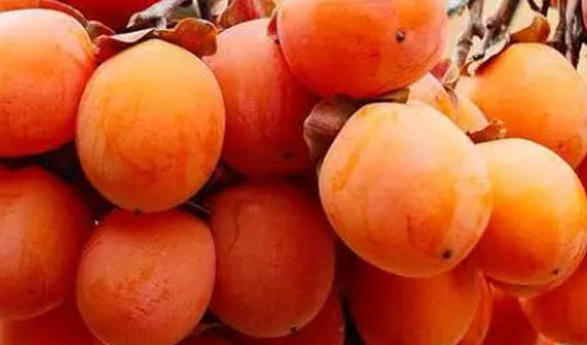 wechat_2026-04-09_162144_891