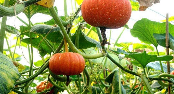 wechat_2026-04-09_162443_746