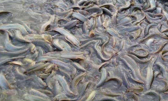 wechat_2026-04-09_162601_161